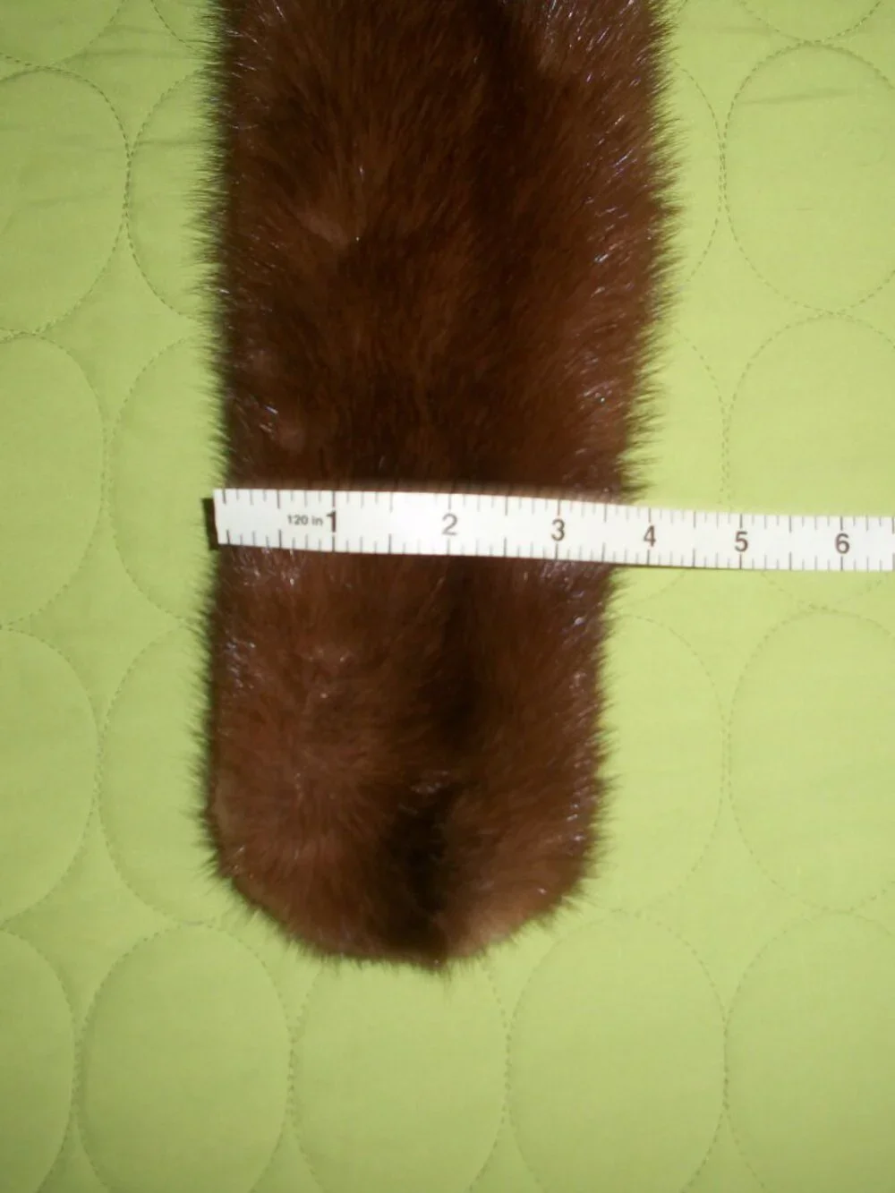 Gruidl lined silky winter