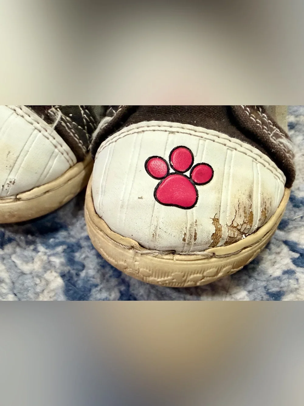 Paw Patrol paw patrol