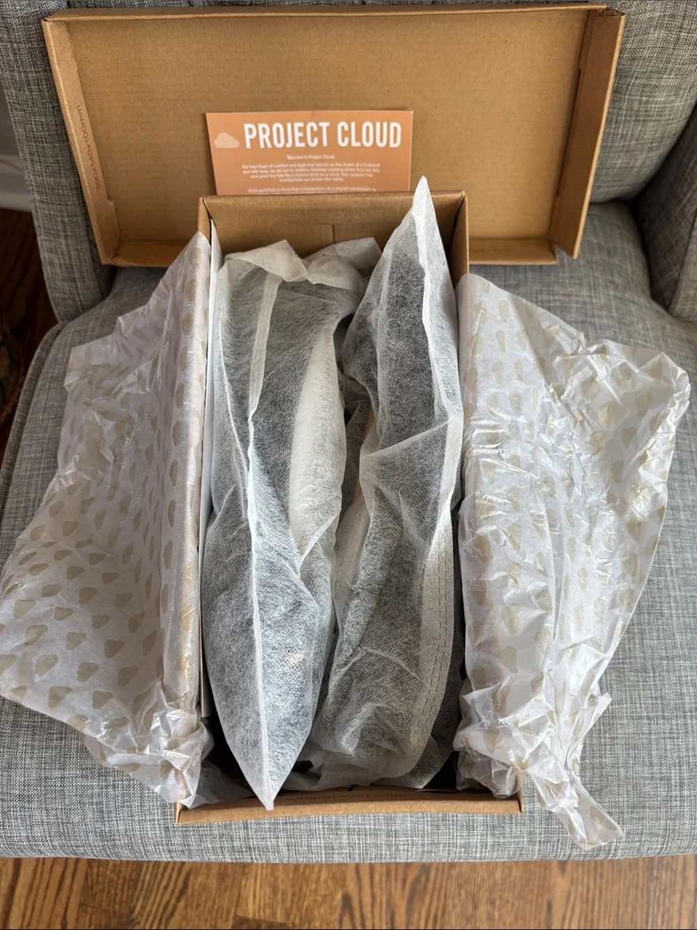 Project Cloud sleek black