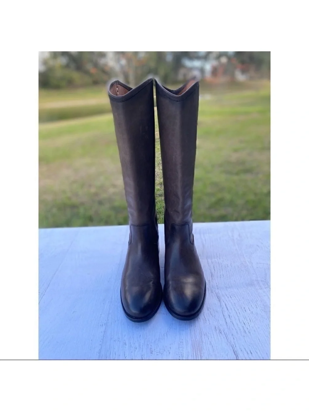 Frye timeless tall