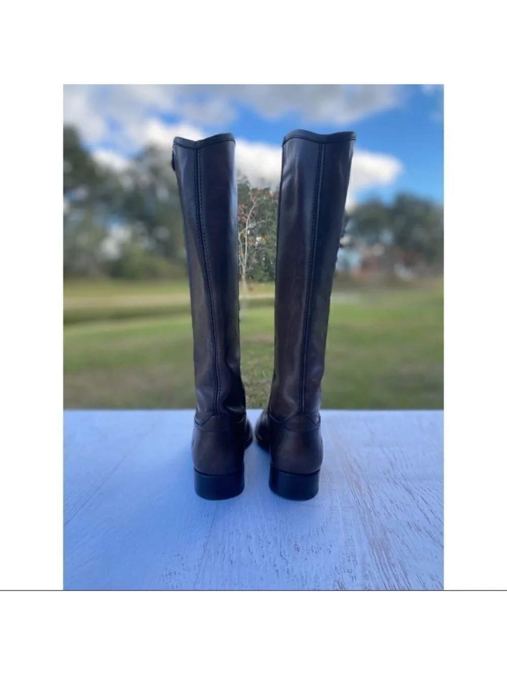 Frye timeless tall