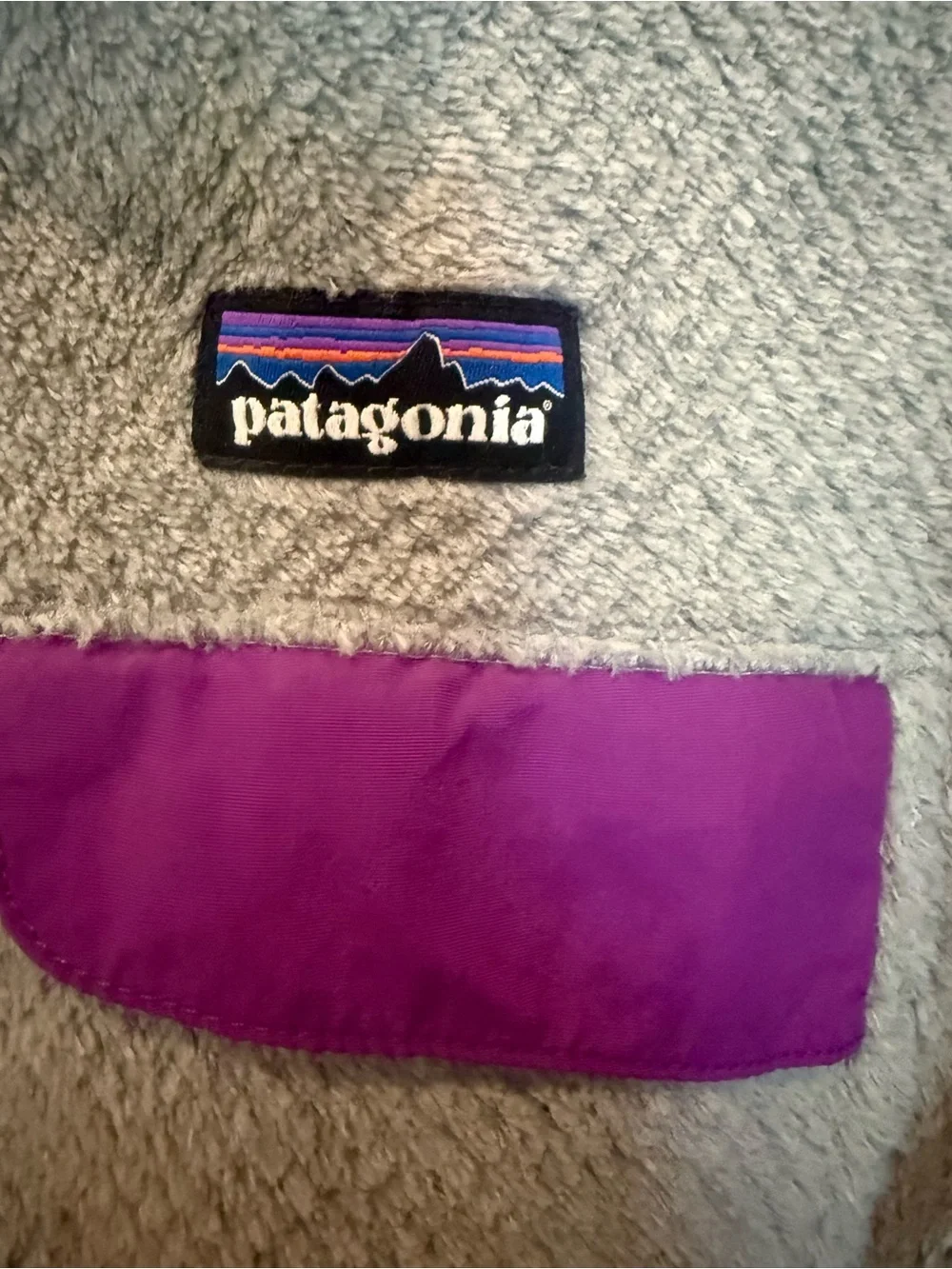 Patagonia cozy fleece