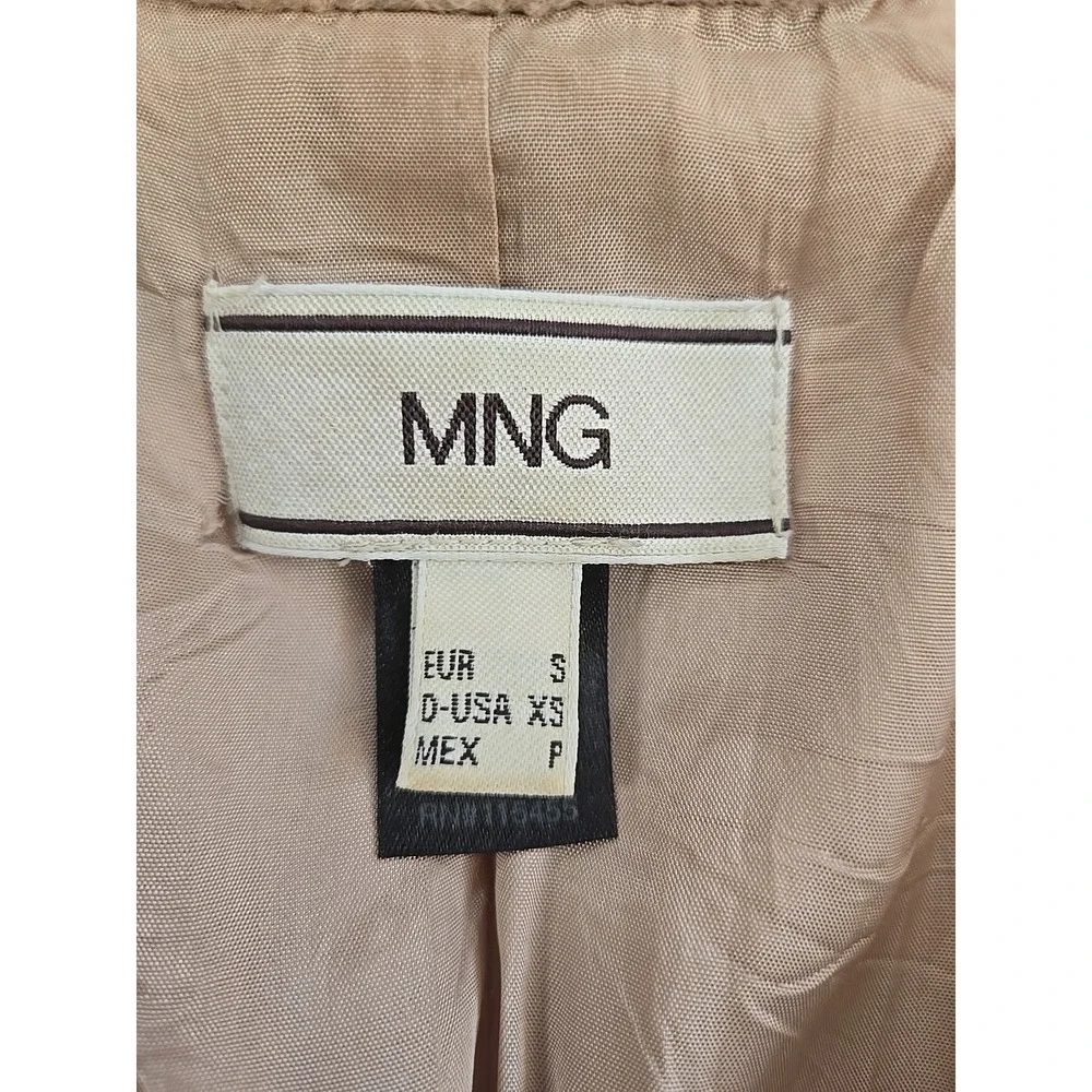 Mango size measurements
