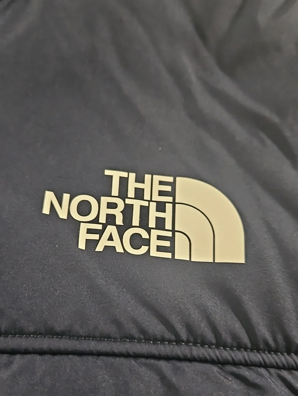 The North Face north face