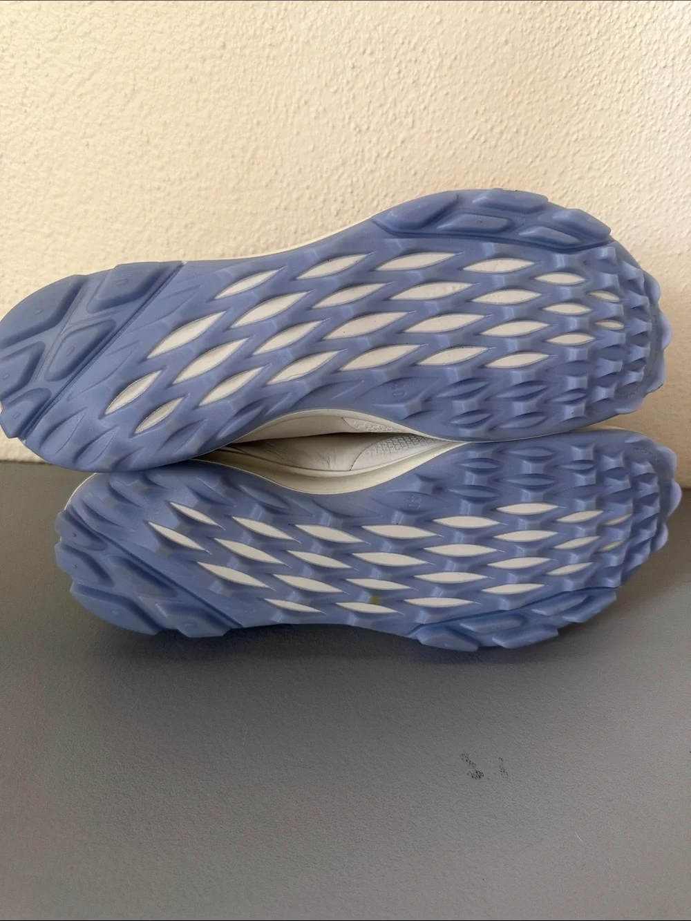Ecco women biom