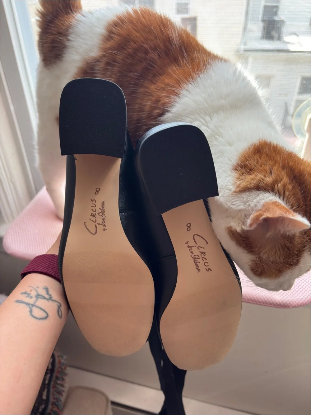 Sam Edelman Della Black Nappa Leather Ballerina Heels