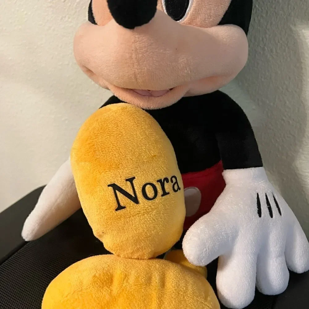 Disney good used