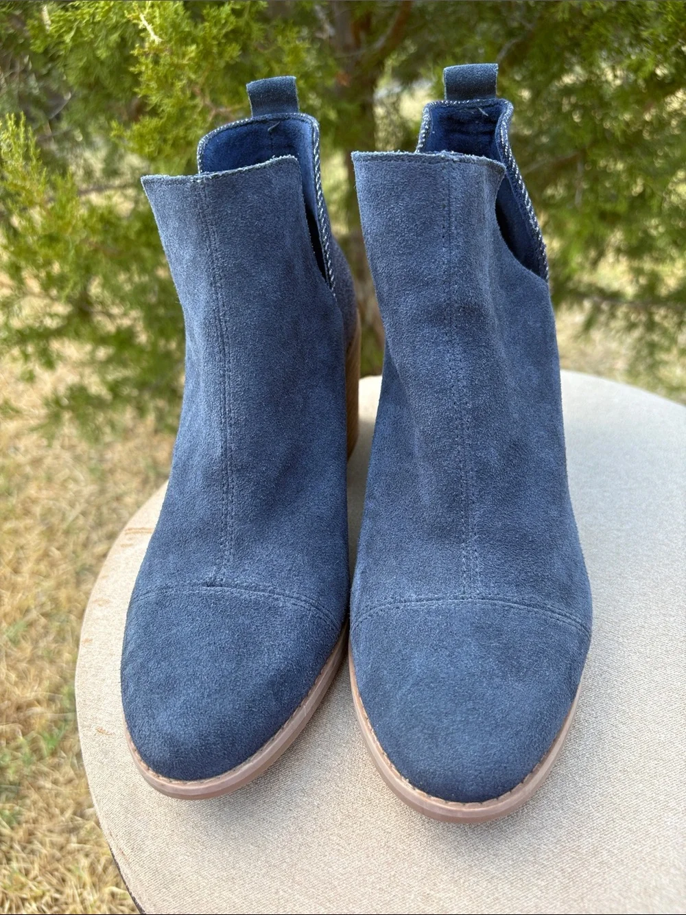 Toms navy suede