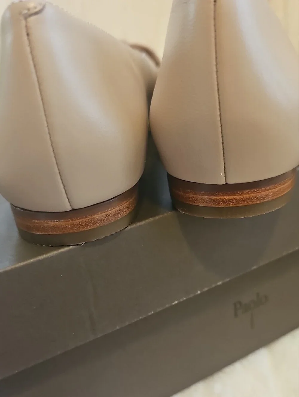 Paolo sleek pointed