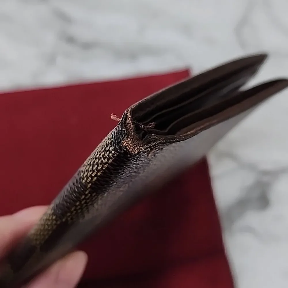 Louis Vuitton authentic louis