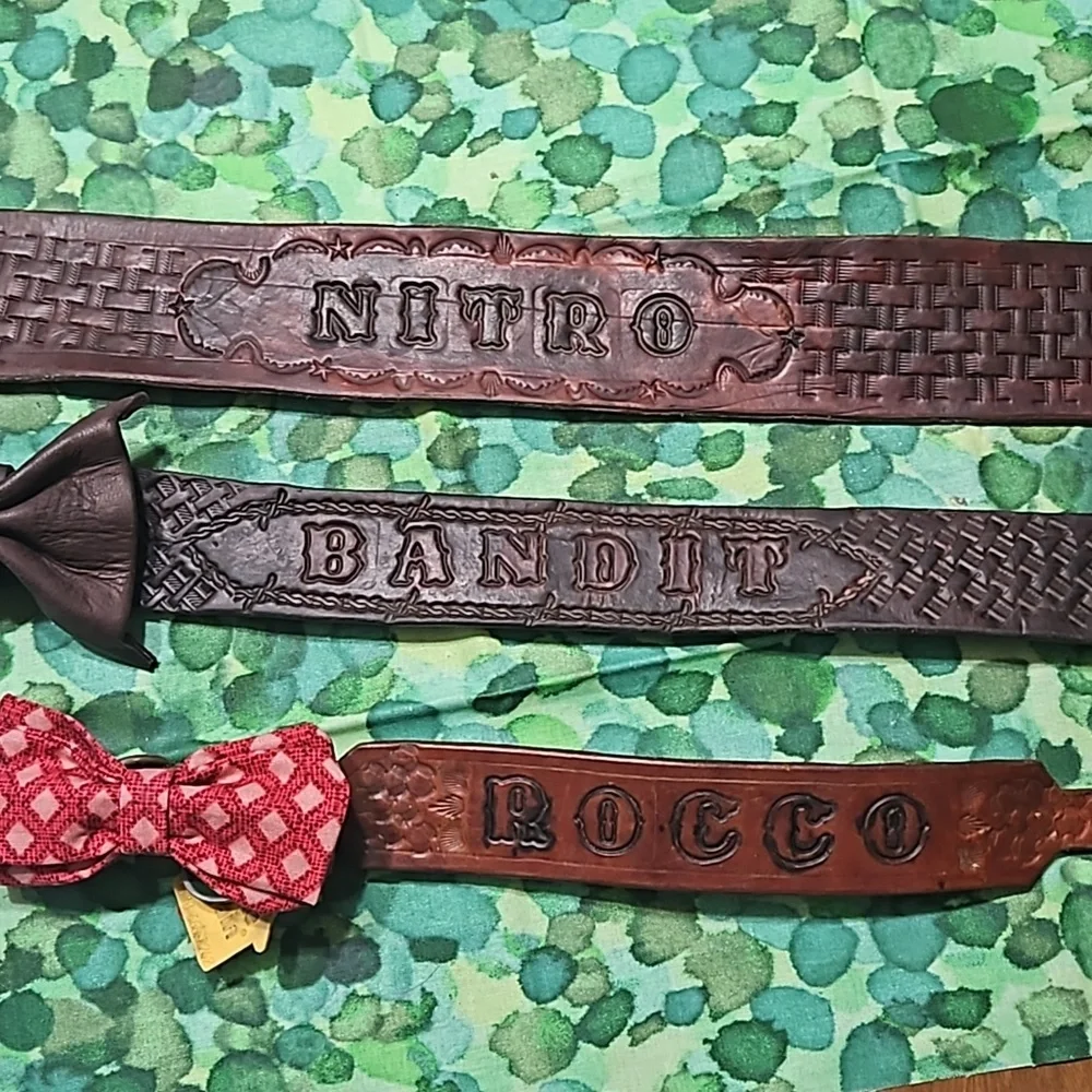 Tooled Leather Handmade Customized Dog Collars🐶Made just for you 🎀 New🎀