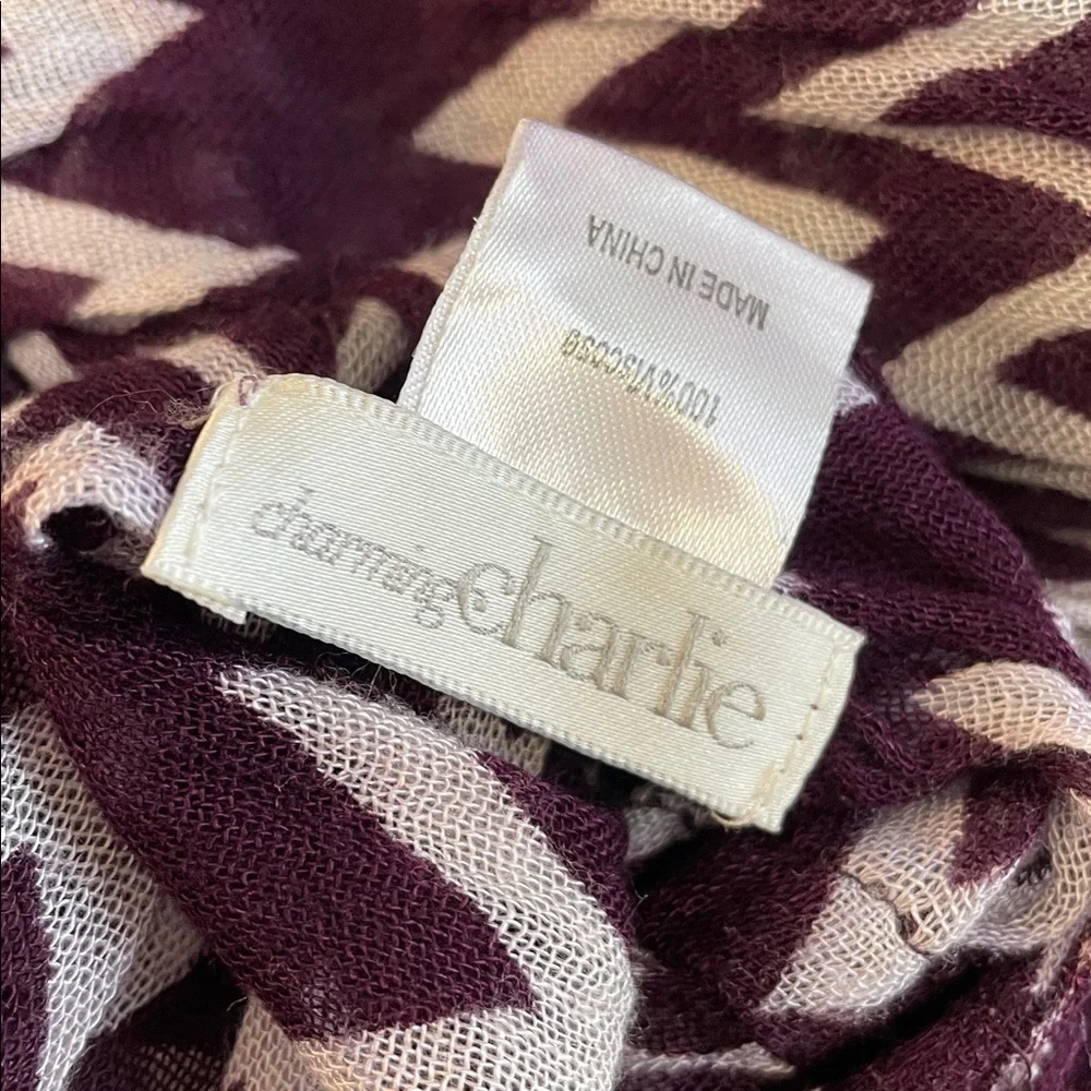 Charming Charlie stylish zigzag