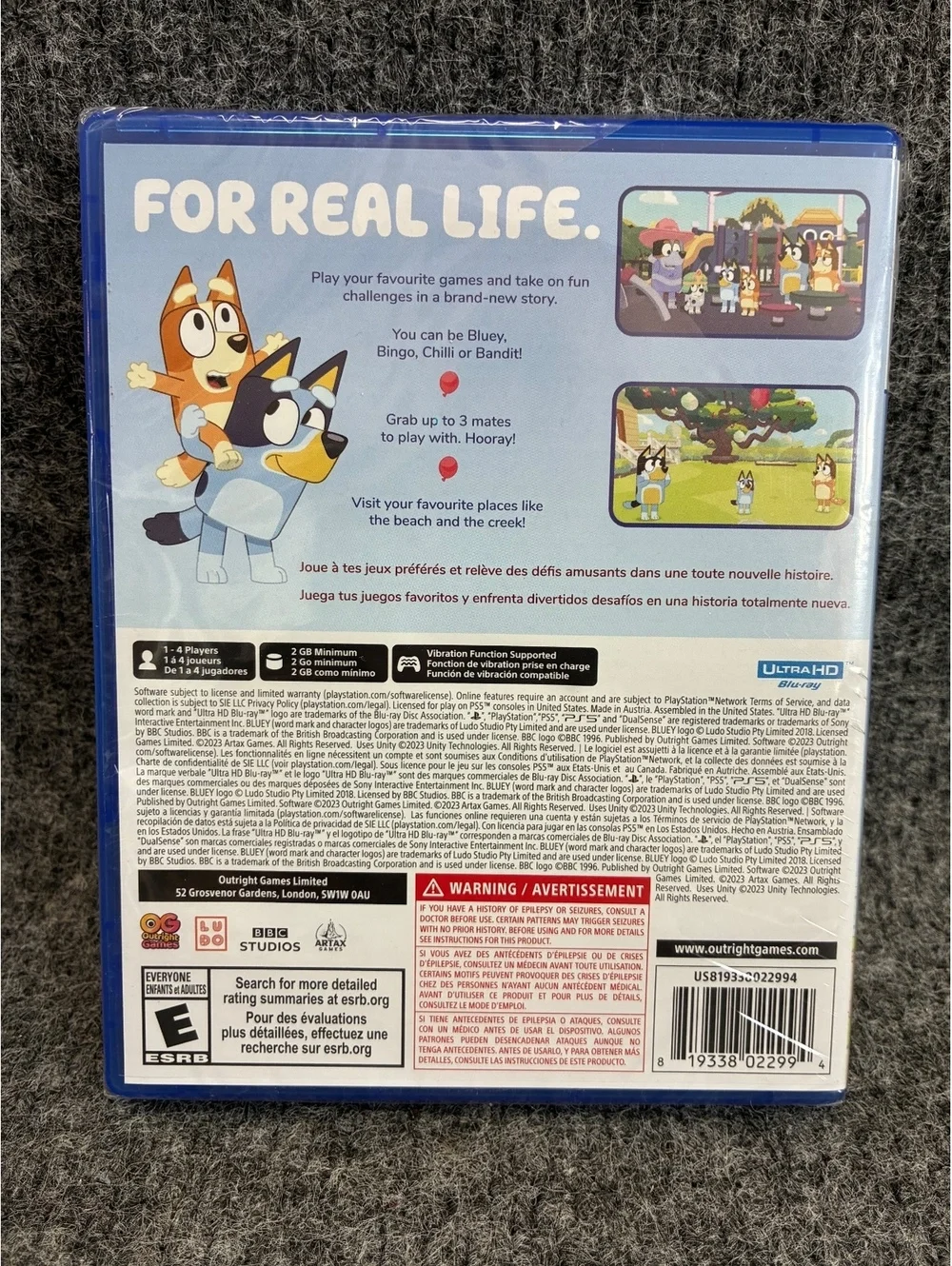 N/A bluey videogame