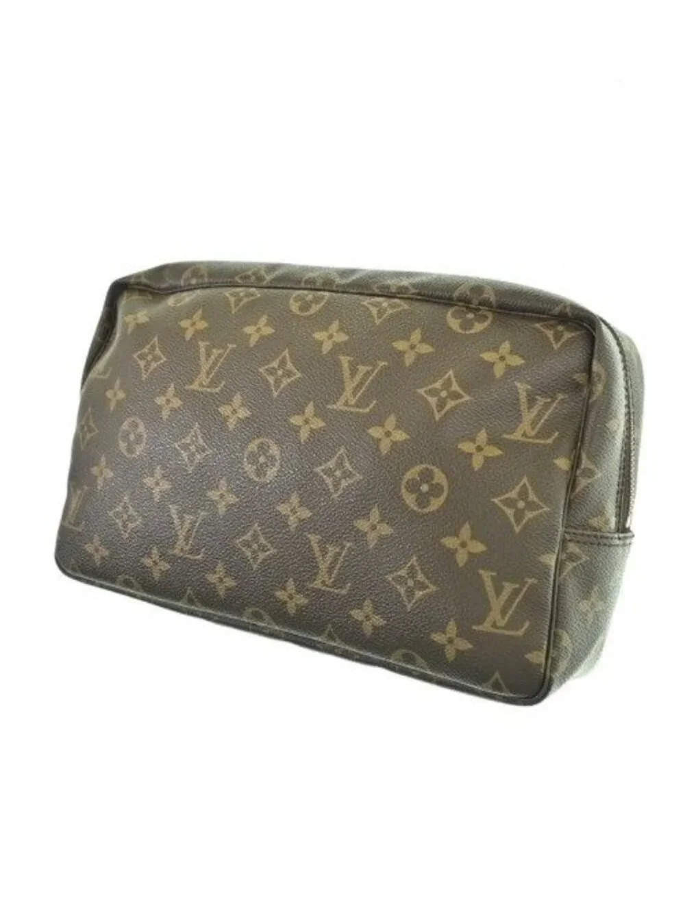 Louis Vuitton brand louis