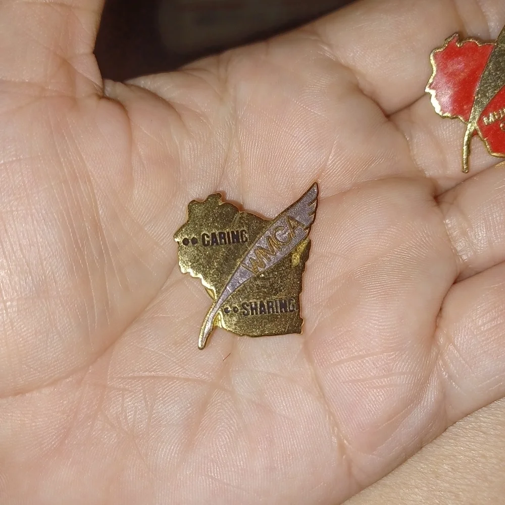 Wisconsin Municipal Clerks Assoc. Lapel Hat Pins (3)