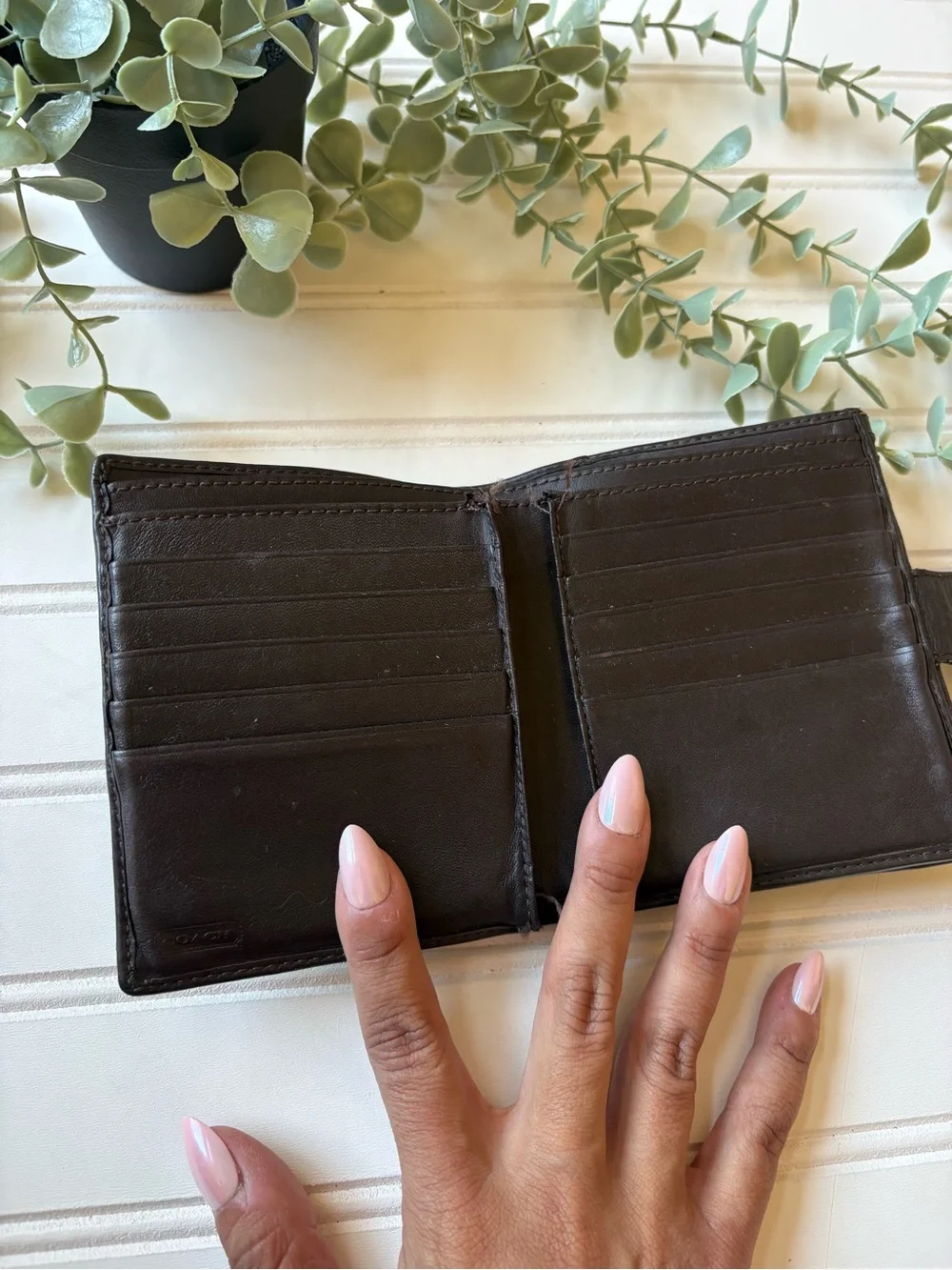 Coach wallet hand
