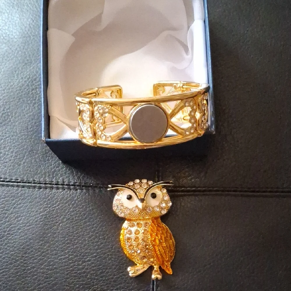 Gold and Diamond Owl Brooch and Bracelet Set