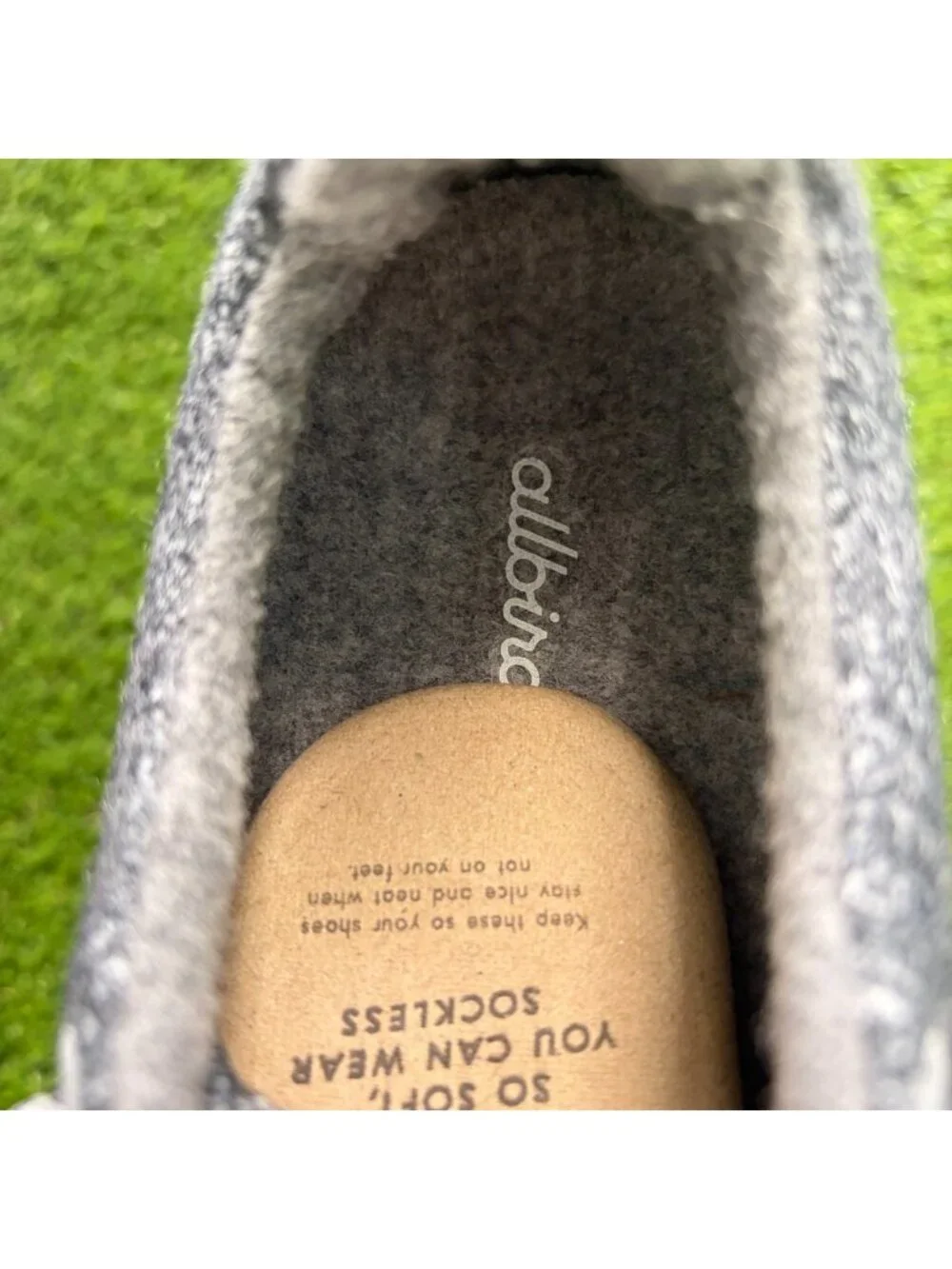 Allbirds please review