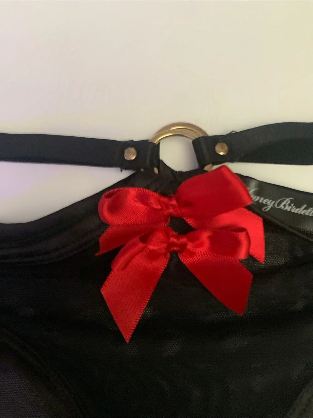 Honey Birdette Black Bikini Brief with Red Bow Accent
