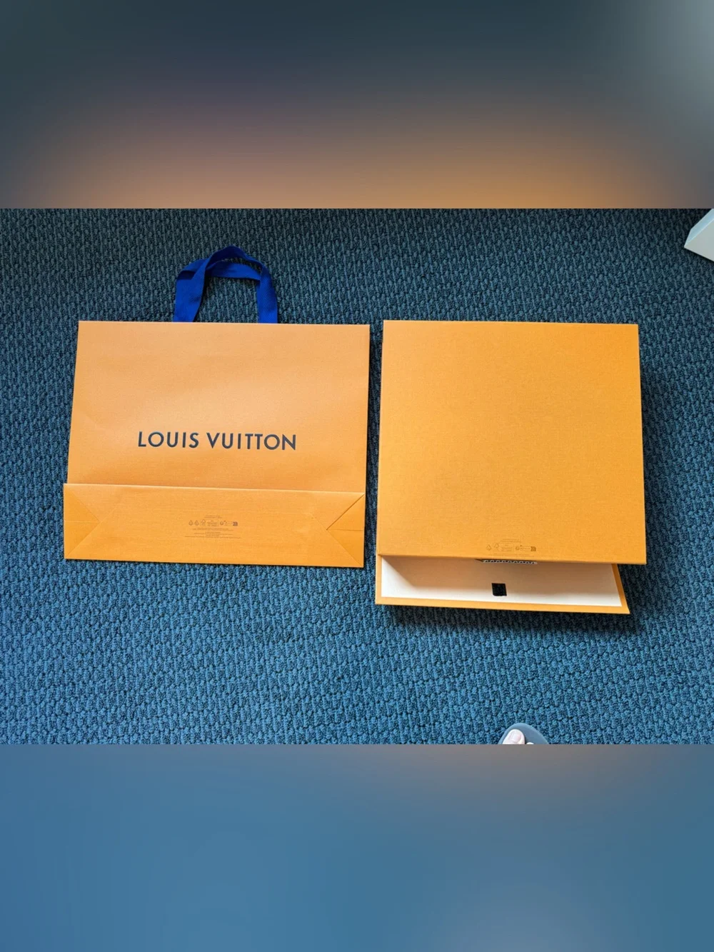 Louis Vuitton authentic louis