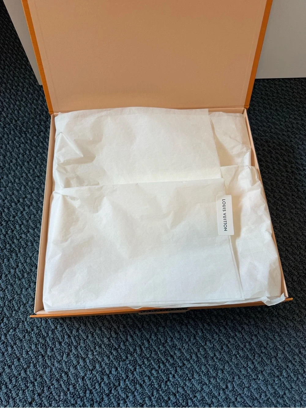 Louis Vuitton authentic louis