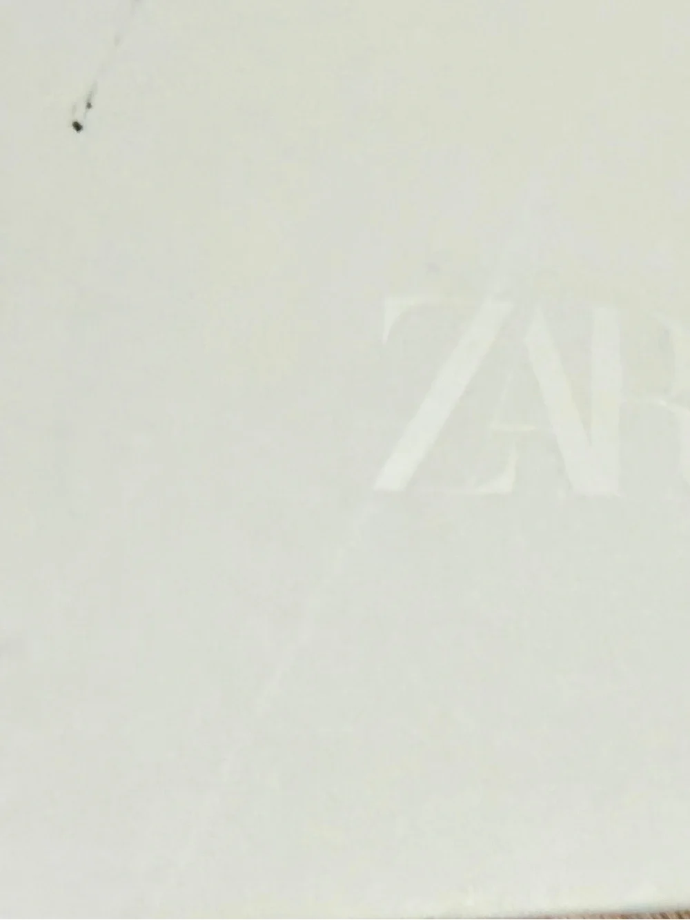 Zara description brand