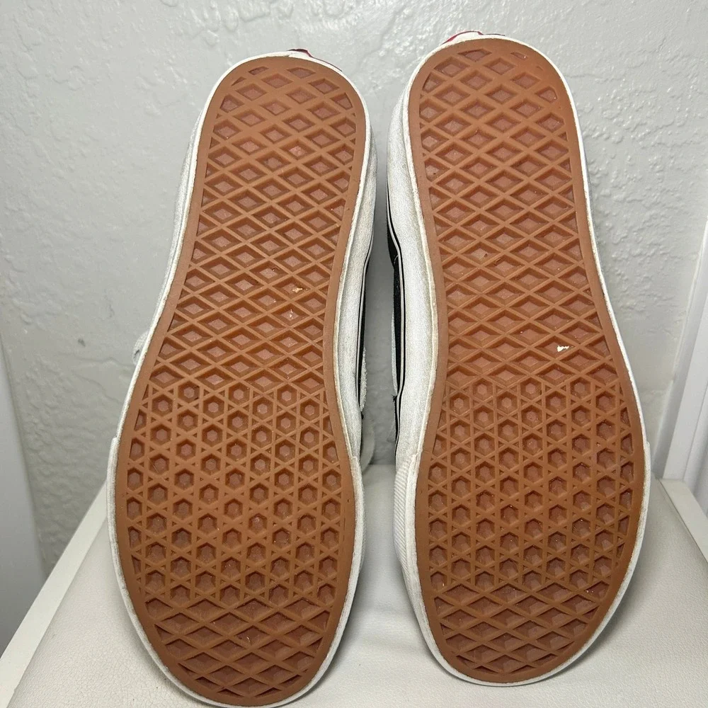 Vans classic sk8