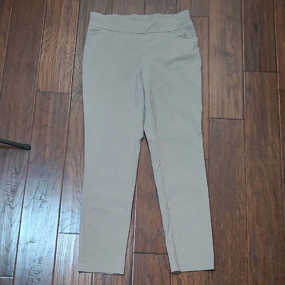 Chico's Light Tan/Taupe Pullon Pants size 1 (Medium)