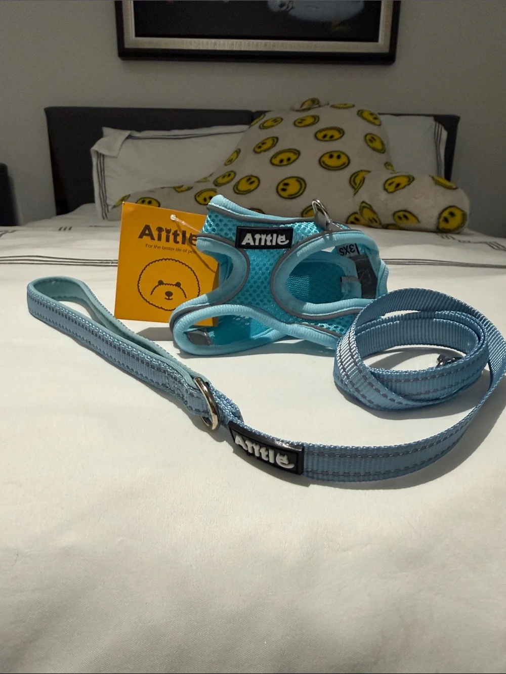 Annie Light Blue Padded Mesh Dog Harness with Matching Leash brand new