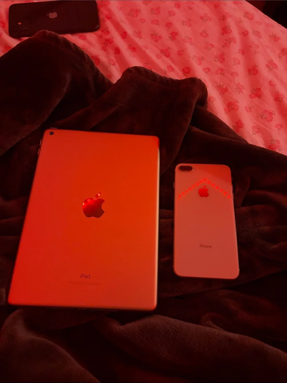Apple ipad iphone
