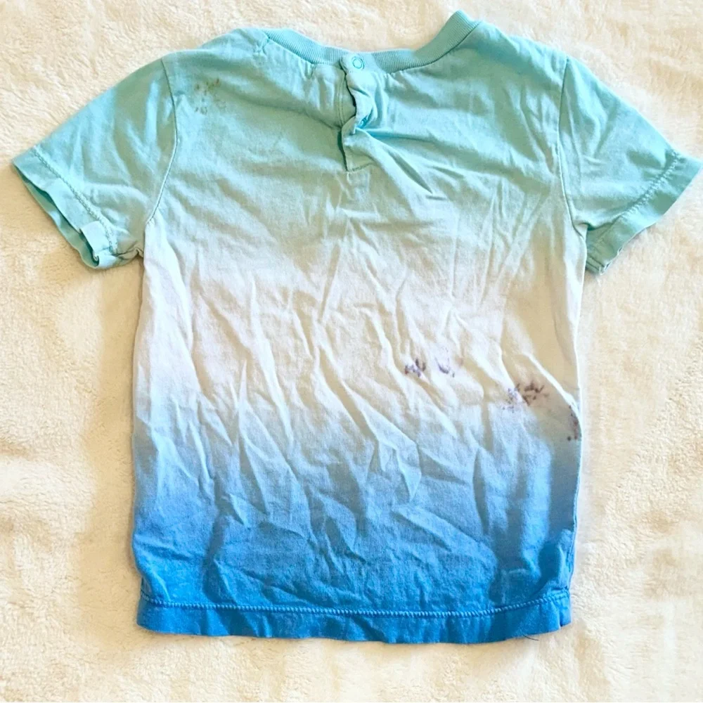 Gymboree toddler shirt