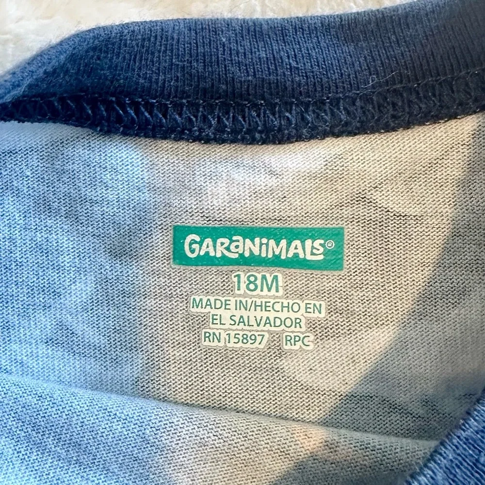 Gymboree toddler shirt
