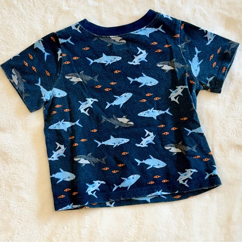 Gymboree toddler shirt