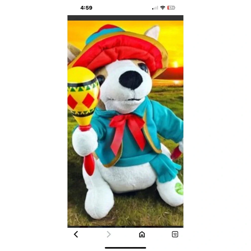 Chuey Bamba , Chihuahua Dressed In Mirachi Attire Sings LaBamba And Shakes Marac