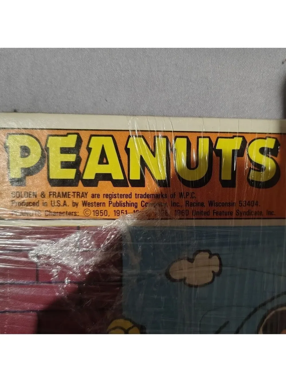 Peanuts charlie brown