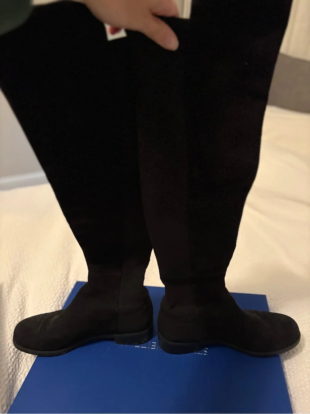 Stuart Weitzman versatile suede