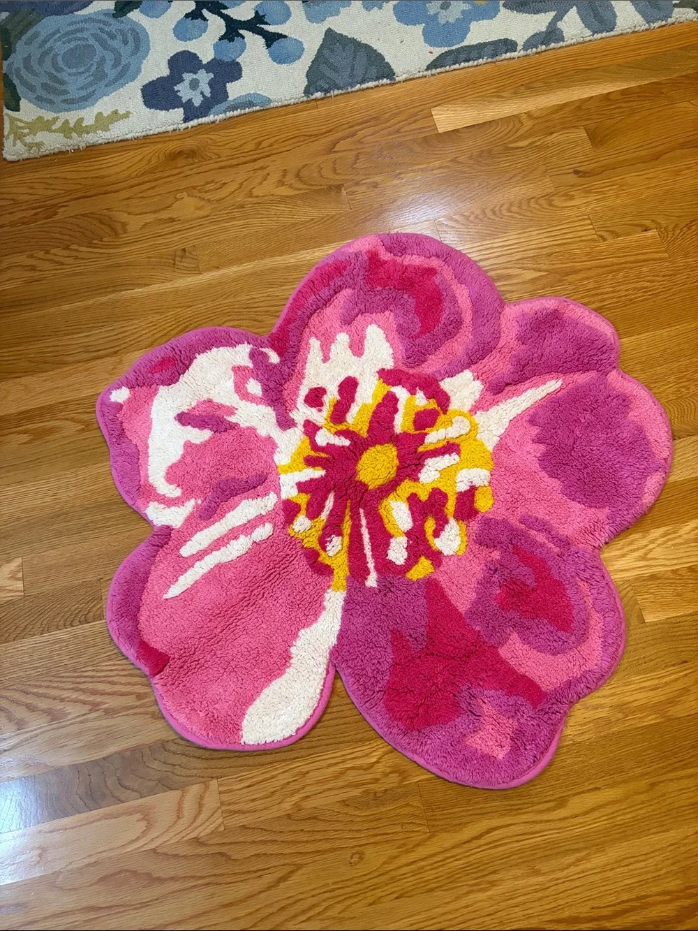 Anthropologie rare find