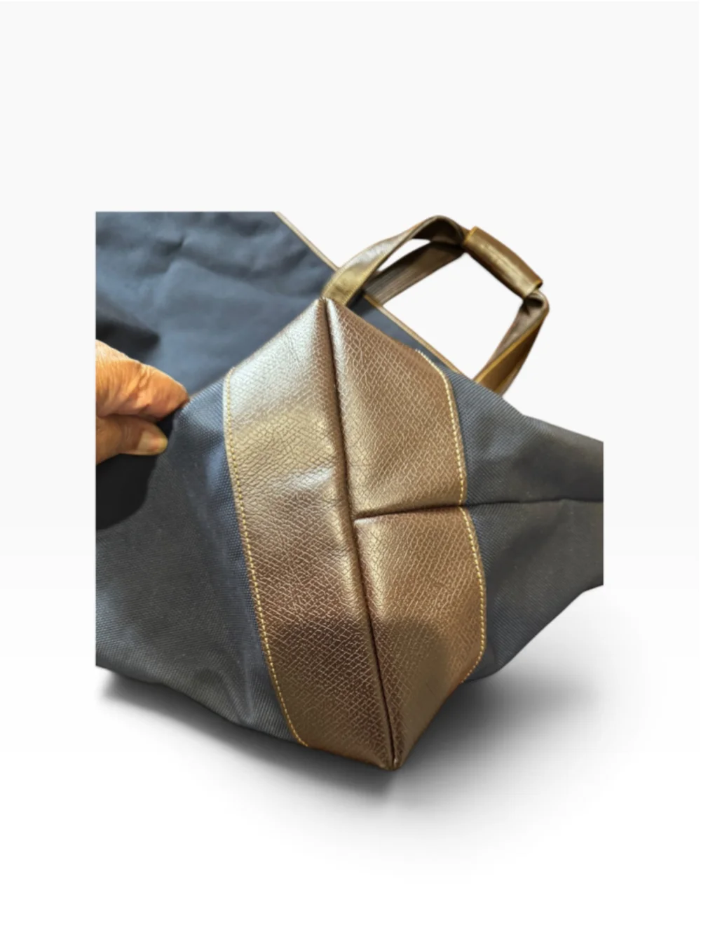 Longchamp this travel