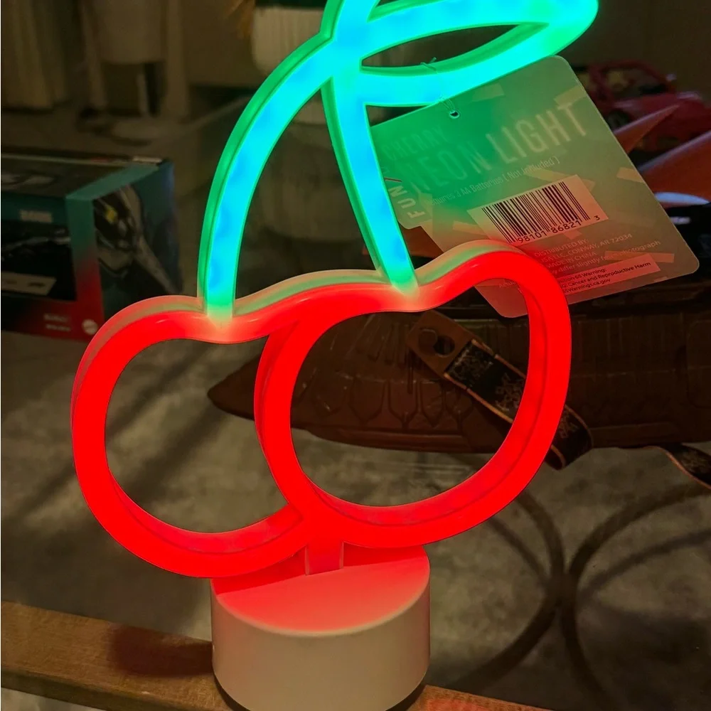 FUN DAY neon light