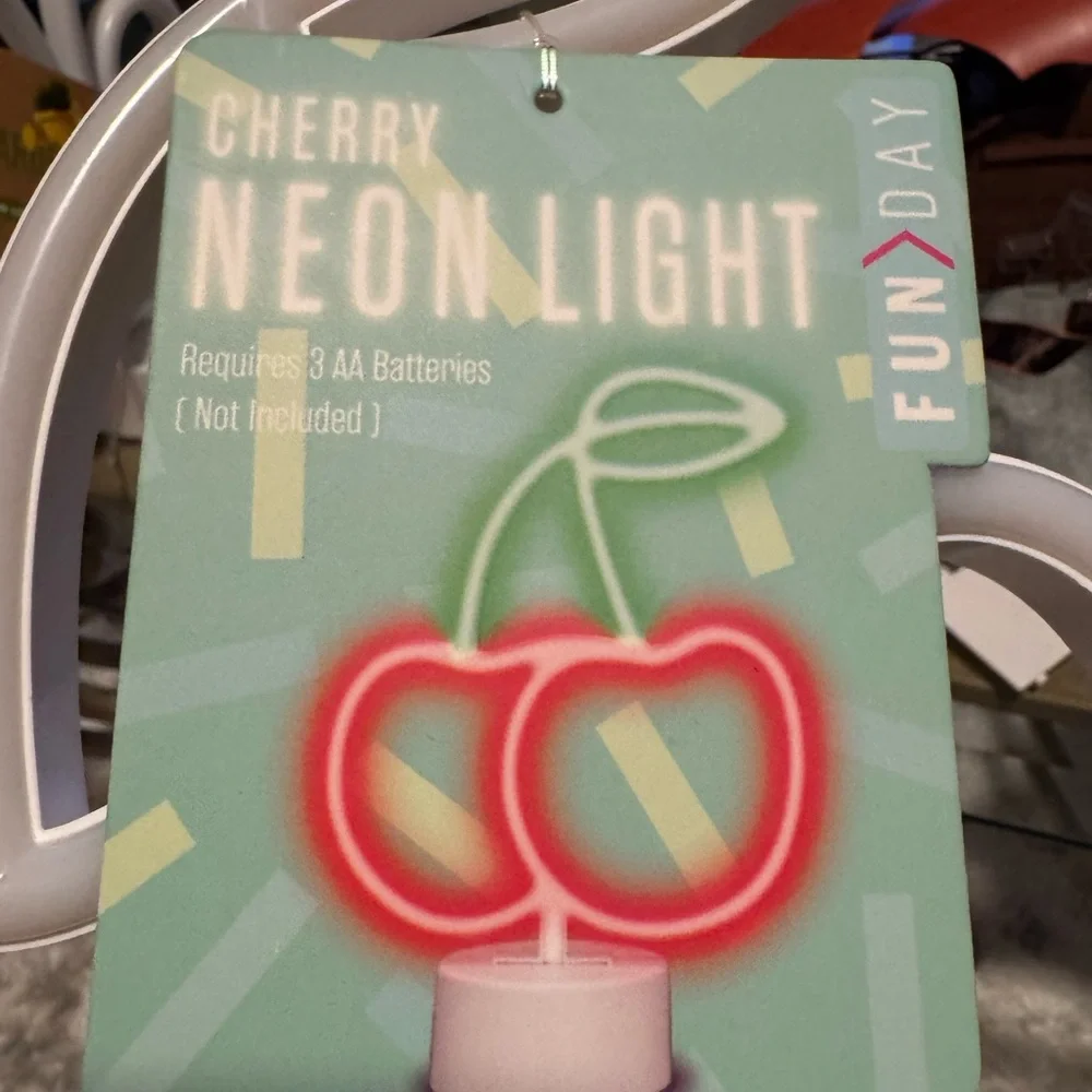 FUN DAY neon light