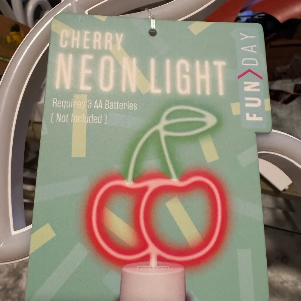 FUN DAY neon light