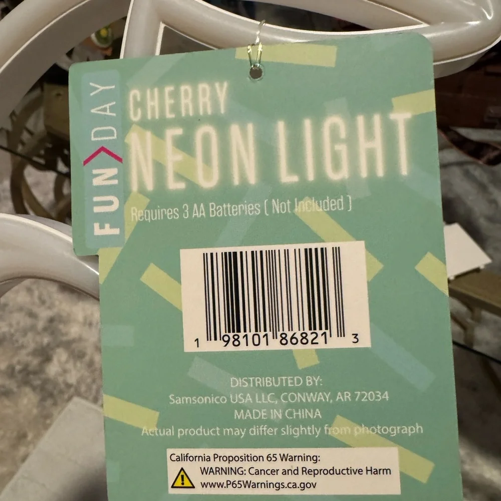 FUN DAY neon light