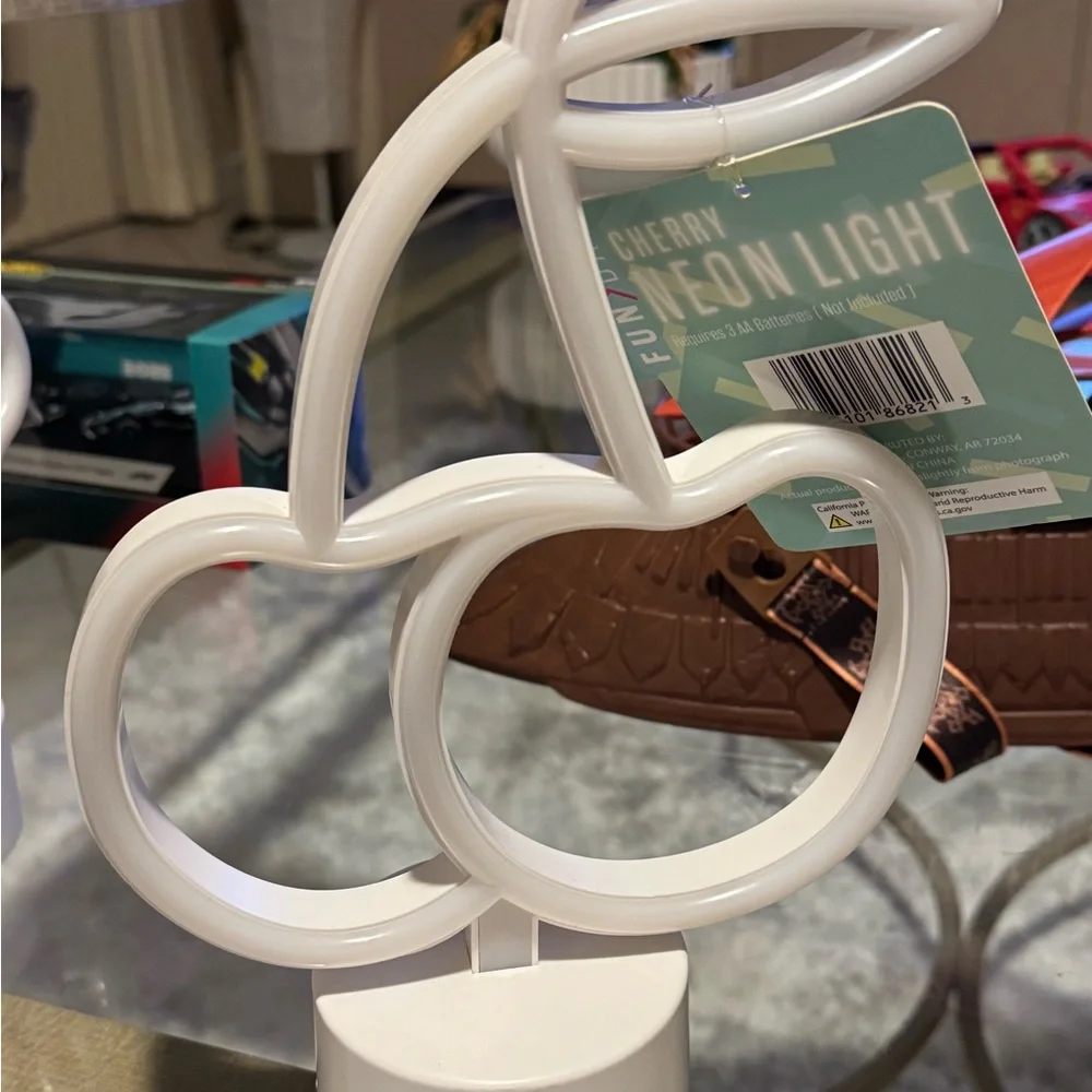 FUN DAY neon light
