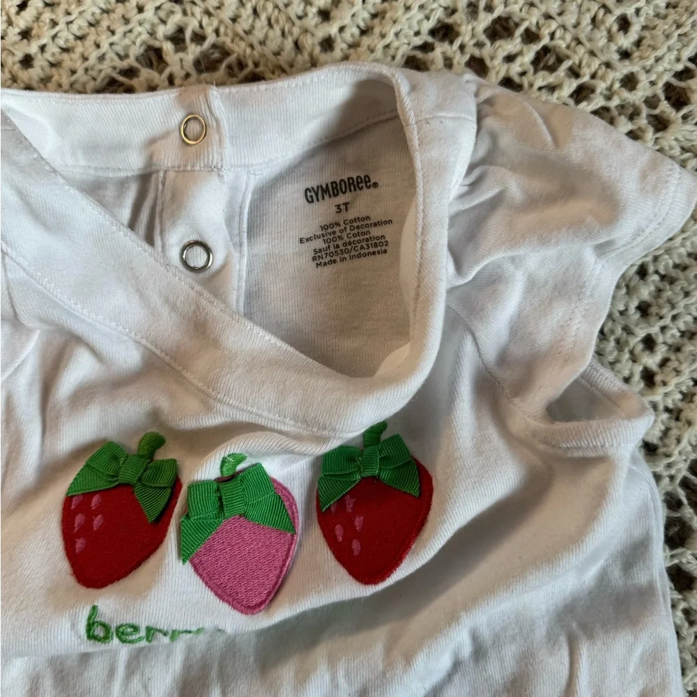 Gymboree vintage mix