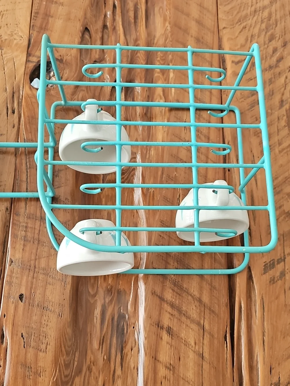 Rubbermaid keep plates