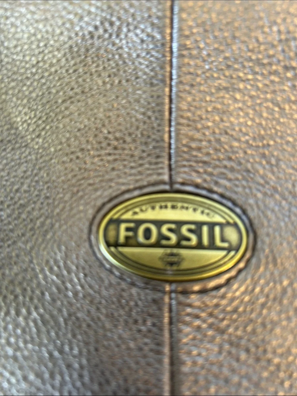 Fossil large bronze