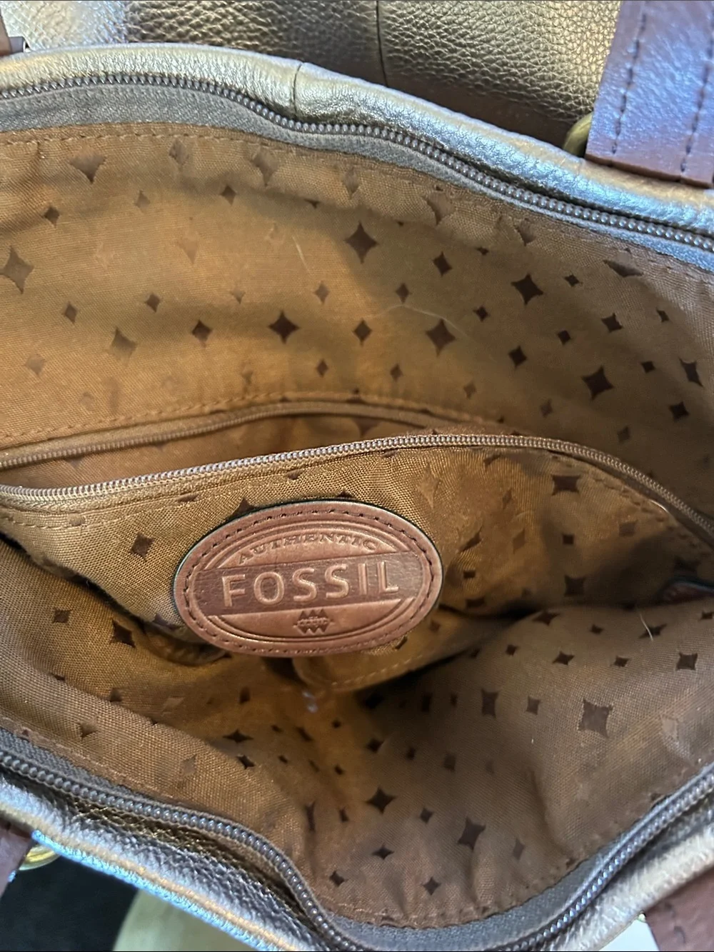 Fossil large bronze