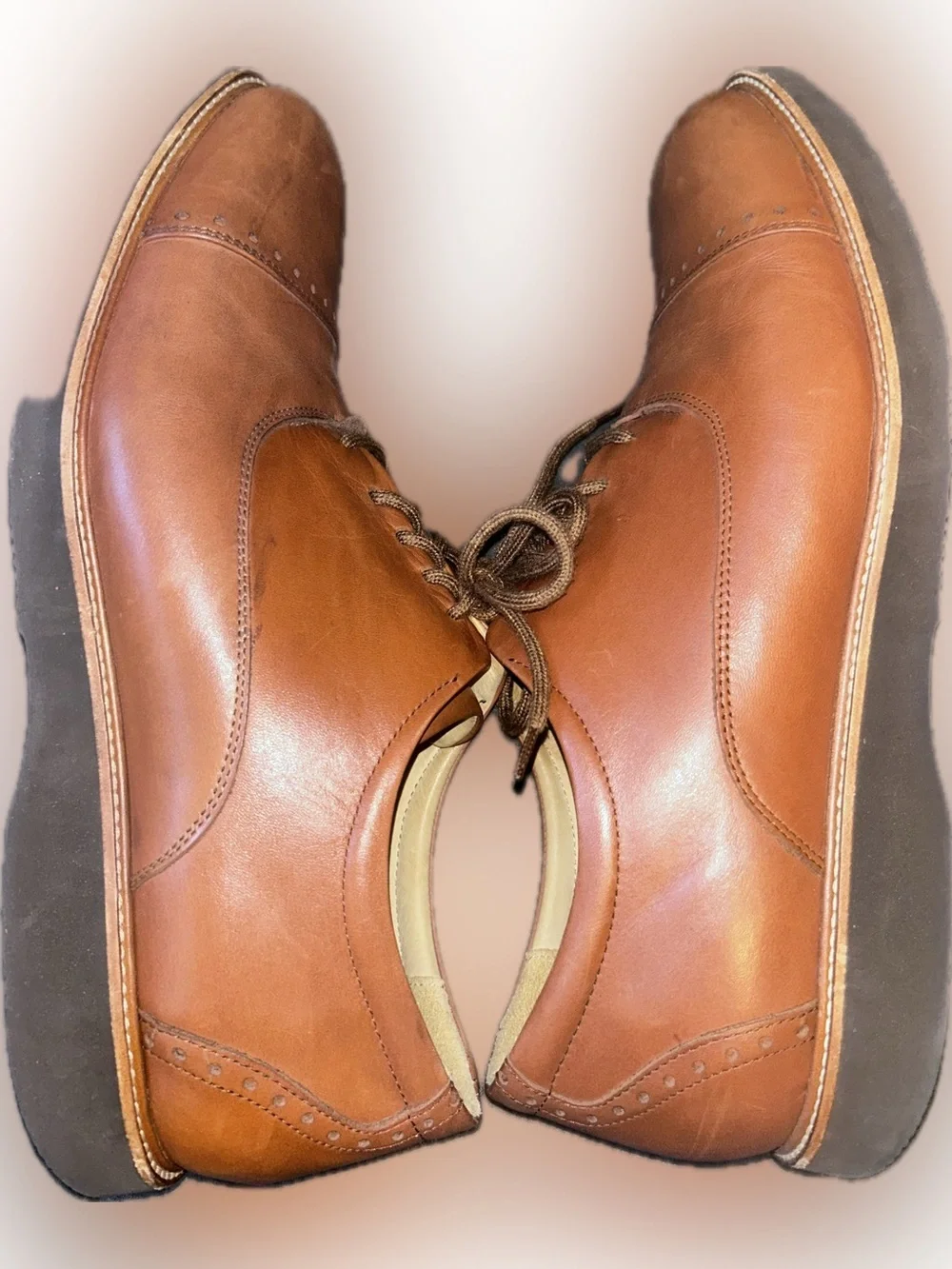 samuel hubbard features classic