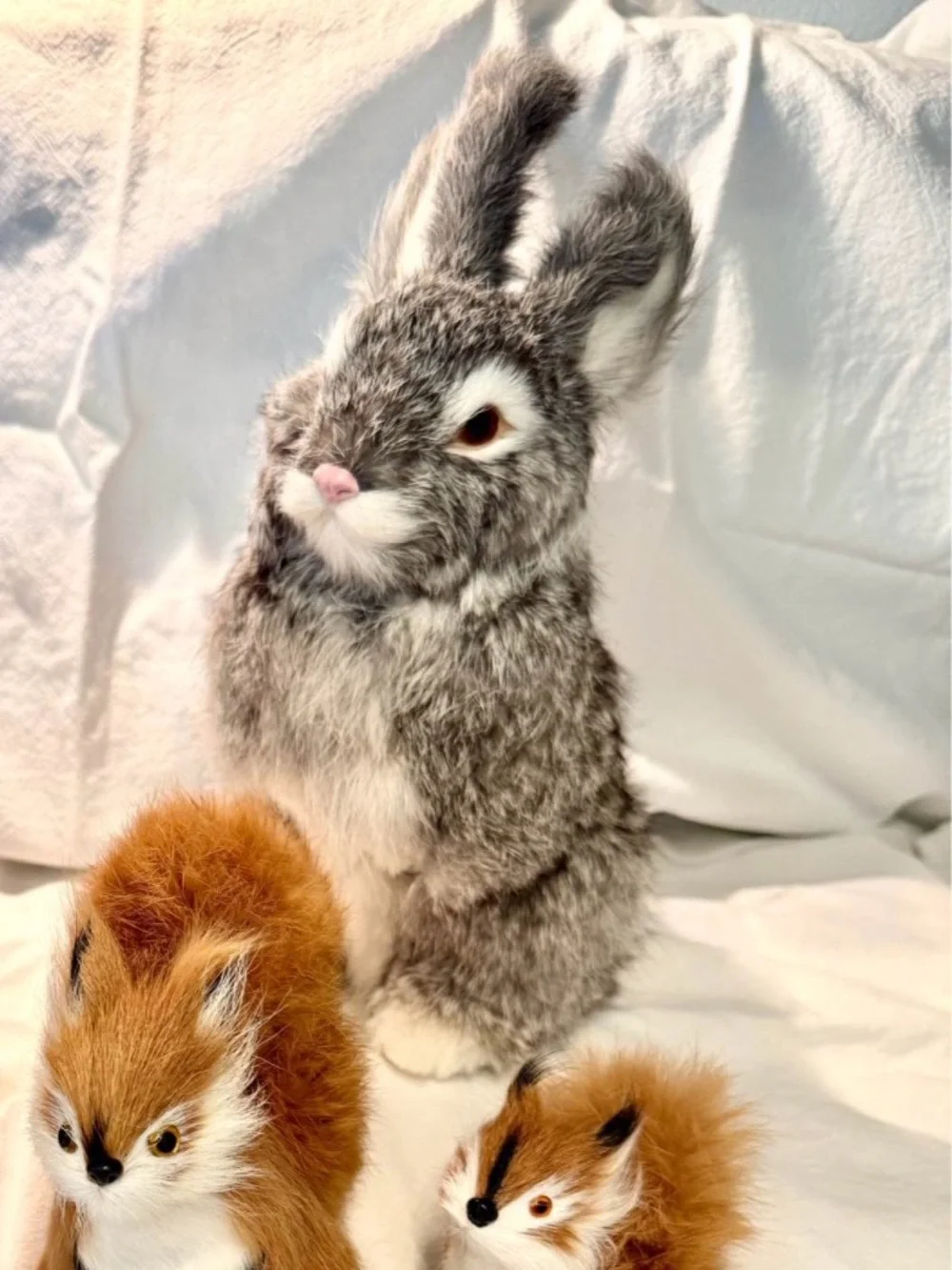 N/A rabbit so