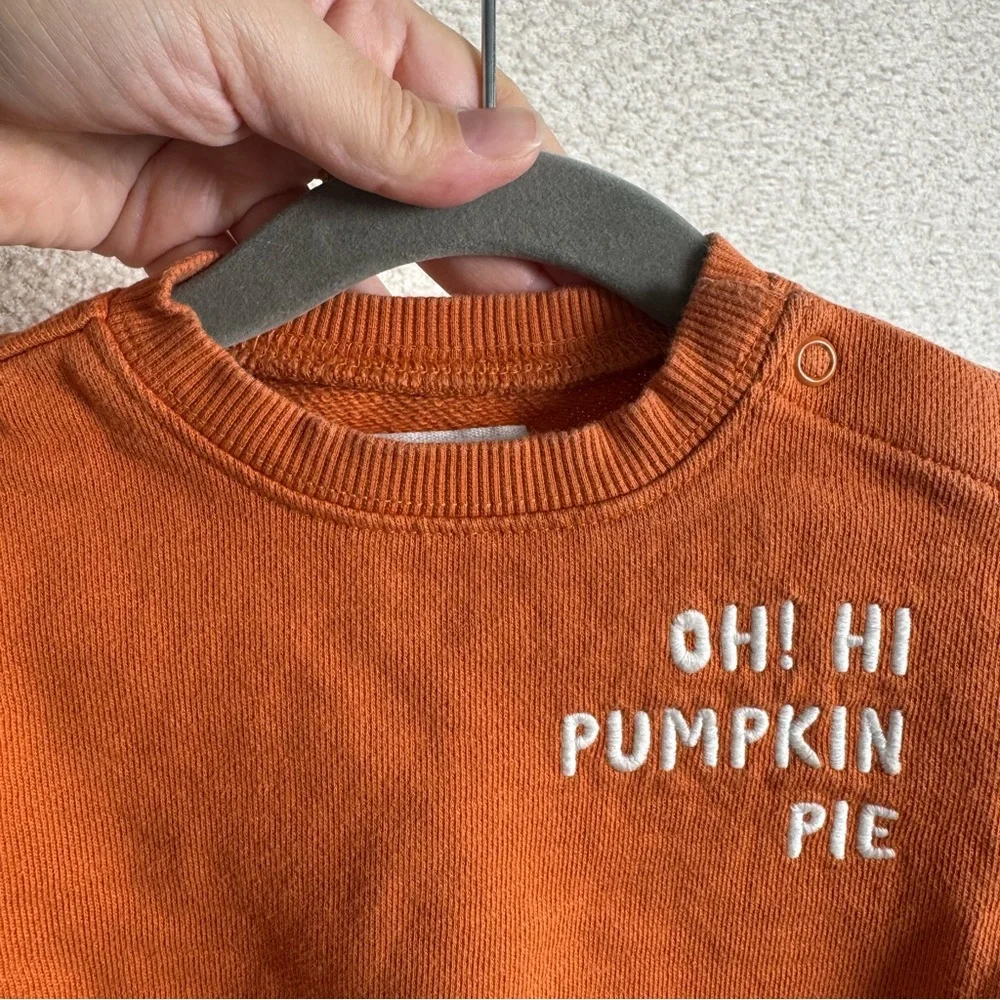 Oh‎ Hi Pumpkin Pie Harvest Orange Long Sleeve Sweatshirt Body Suit Size 3 months